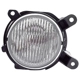 Purchase Top-Quality Passenger Side Fog Lamp Assembly by DEPO - 330-2021R-AS pa1