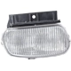 Purchase Top-Quality Passenger Side Fog Lamp Assembly by DEPO - 331-2012R-AQ pa1