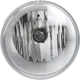 Purchase Top-Quality Passenger Side Fog Lamp Assembly by DEPO - 333-2023N-AC pa2