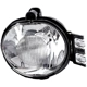 Purchase Top-Quality Passenger Side Fog Lamp Assembly by DEPO - 334-2009R-AC pa1