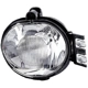 Purchase Top-Quality Passenger Side Fog Lamp Assembly by DEPO - 334-2009R-AS pa1