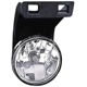 Purchase Top-Quality Passenger Side Fog Lamp Assembly by DEPO - 334-2011R-AS pa1