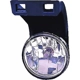 Purchase Top-Quality Passenger Side Fog Lamp Assembly by DEPO - 334-2011R-AS pa2