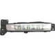 Purchase Top-Quality Passenger Side Fog Lamp Assembly by DEPO - 334-2021R-AS pa3