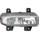 Purchase Top-Quality Passenger Side Fog Lamp Assembly by DEPO - 334-2022R-AC pa2