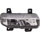 Purchase Top-Quality Passenger Side Fog Lamp Assembly by DEPO - 334-2022R-AC pa4