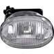 Purchase Top-Quality Passenger Side Fog Lamp Assembly by DEPO - 335-2005N-AS pa1