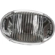 Purchase Top-Quality Passenger Side Fog Lamp Assembly by DEPO - 335-2005N-AS pa2