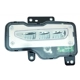 Purchase Top-Quality Passenger Side Fog Lamp Assembly by DEPO - 335-2044R-AC pa1