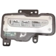 Purchase Top-Quality Passenger Side Fog Lamp Assembly by DEPO - 335-2044R-AS pa1