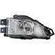 Purchase Top-Quality Passenger Side Fog Lamp Assembly by DEPO - 442-2025R-AQ pa1