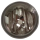 Purchase Top-Quality Passenger Side Fog Lamp Assembly - FO2593220V pa1