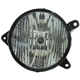 Purchase Top-Quality Passenger Side Fog Lamp Assembly - FO2593228 pa1