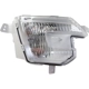 Purchase Top-Quality Passenger Side Fog Lamp Assembly - FO2593237 pa5