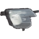 Purchase Top-Quality Passenger Side Fog Lamp Assembly - FO2593237 pa7