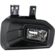 Purchase Top-Quality Passenger Side Fog Lamp Assembly - FO2593244 pa7