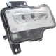 Purchase Top-Quality Passenger Side Fog Lamp Assembly - GM2593314 pa7