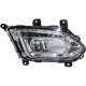 Purchase Top-Quality Passenger Side Fog Lamp Assembly - GM2593316 pa1
