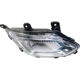 Purchase Top-Quality Passenger Side Fog Lamp Assembly - GM2593316 pa2