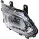 Purchase Top-Quality Passenger Side Fog Lamp Assembly - GM2593316 pa3