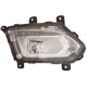 Purchase Top-Quality Passenger Side Fog Lamp Assembly - GM2593316C pa1