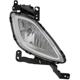 Purchase Top-Quality Passenger Side Fog Lamp Assembly - HY2593138 pa9