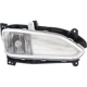 Purchase Top-Quality Passenger Side Fog Lamp Assembly - HY2593141 pa5