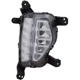 Purchase Top-Quality Passenger Side Fog Lamp Assembly - HY2593165C pa2