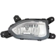 Purchase Top-Quality Passenger Side Fog Lamp Assembly - HY2593169 pa1