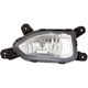 Purchase Top-Quality Passenger Side Fog Lamp Assembly - HY2593169 pa2