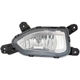 Purchase Top-Quality Passenger Side Fog Lamp Assembly - HY2593169C pa1