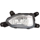 Purchase Top-Quality Passenger Side Fog Lamp Assembly - HY2593169C pa9