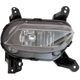 Purchase Top-Quality Passenger Side Fog Lamp Assembly - HY2593171C pa1