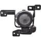 Purchase Top-Quality Passenger Side Fog Lamp Assembly - KI2593164 pa8