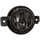 Purchase Top-Quality Passenger Side Fog Lamp Assembly - NI2593122 pa1