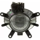 Purchase Top-Quality Passenger Side Fog Lamp Assembly - BM2592116 pa1