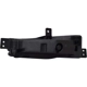 Purchase Top-Quality Passenger Side Fog Lamp Assembly - BM2593155 pa3
