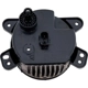 Purchase Top-Quality Passenger Side Fog Lamp Assembly - CH2592160 pa1