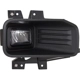 Purchase Top-Quality Passenger Side Fog Lamp Assembly - FO2593247 pa2