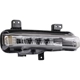 Purchase Top-Quality Passenger Side Fog Lamp Assembly - FO2593254 pa1