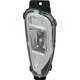Purchase Top-Quality Passenger Side Fog Lamp Assembly - FO2593255 pa1