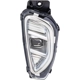 Purchase Top-Quality Passenger Side Fog Lamp Assembly - FO2593256 pa1