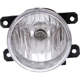 Purchase Top-Quality Passenger Side Fog Lamp Assembly - SU2592121 pa1