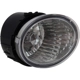 Purchase Top-Quality Passenger Side Fog Lamp Assembly - SU2593119 pa1