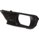 Purchase Top-Quality Passenger Side Fog Lamp Cover by DEPO - 15-212-2056R-UD pa2
