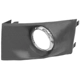 Purchase Top-Quality Passenger Side Fog Lamp Cover - FO2599101 pa1