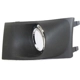 Purchase Top-Quality Passenger Side Fog Lamp Cover - FO2599101 pa3