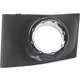 Purchase Top-Quality Passenger Side Fog Lamp Cover - FO2599101 pa4