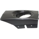 Purchase Top-Quality VARIOUS MANUFACTURERS - HY2599100 - Passenger Side Fog Lamp Cover pa2