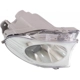 Purchase Top-Quality Passenger Side Fog Lamp Lens/Housing by DEPO - 324-2009R-UC pa6